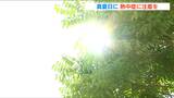 こまめな水分補給で熱中症に注意!18日の新潟県内は各地で真夏日予想|TBS NEWS DIG