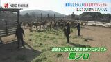 農業をしたい人が集まる町プロジェクト 長崎県南島原市 | 長崎のニュース | 天気 | NBC長崎放送