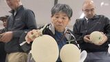 「見た目も美しく網目の張りもいい」糖度14度以上 贈答用に人気のハウスメロン 出荷ピークを前に浜松市で目ぞろい会　|　静岡のニュース | SBSNEWS | 静岡放送
