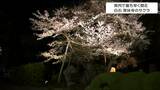 県内で最も早く開花 常林寺のサクラが見ごろに 宮城・白石市|TBS NEWS DIG
