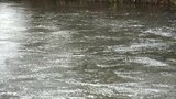 岩手県内気温下がる 日中も2月下旬並みの予想 春の訪れは足踏み|TBS NEWS DIG
