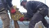 岐阜城のしゃちほこ 金箔はり替えのため約30年ぶりに地上へ 「一生で見られるかどうか」「迫力にびっくり」 来年2月ごろ再び金華山へ | 名古屋・愛知・岐阜・三重のニュース【CBC news】 | CBC web