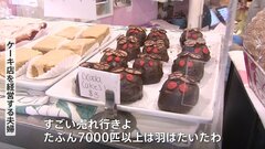 「少なく見積もって2000億匹」アメリカに“セミゲドン”襲来　セミケーキやセミアートで大盛り上がり| TBS CROSS DIG with Bloomberg