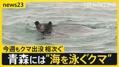 漁師が見た“海を泳ぐクマ” 今週も各地で相次いだクマ出没…政府は人の生活圏からの排除に向け「クマ被害対策パッケージ」取りまとめ【news23】| TBS CROSS DIG with Bloomberg
