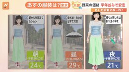 【6月6日 関東の天気】今月の野菜物価予報|TBS NEWS DIG