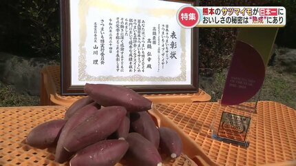 日本一のサツマイモが熊本に！美味しさの秘密は「収穫後の熟成」農家