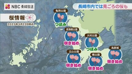 制限がない春…今年の花見は？「行く」が56.1%【長崎】 | 長崎の
