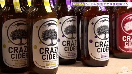 アメリカで主流の“辛口”シードル「クレイジーサイダー」青森県の温泉