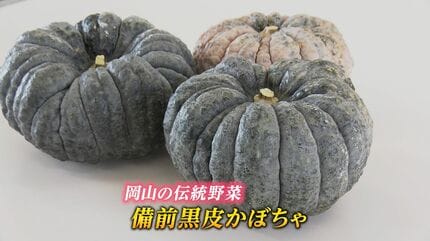 かぼちゃ 那珂かぼちゃ｜ひたちなか地区｜JA常陸の特産品