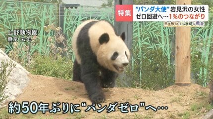 四川省公認“パンダ大使”の日本人女性「1%は繋がってる」日中友好の証
