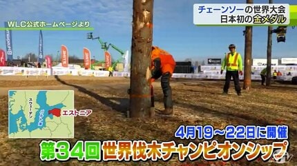 チェーンソー技術競う世界大会で日本初の金メダル 青森市の女性が語る
