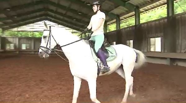 【パリ五輪】「出たいって思っても出られるものじゃないのですごいこと」総合馬術団体で大岩義明選手らの「初老ジャパン」が銅メダル「バロン西」以来92年ぶりの快挙に乗馬クラブの関係者からも喜びの声　|　SBC NEWS | 長野のニュース | SBC信越放送