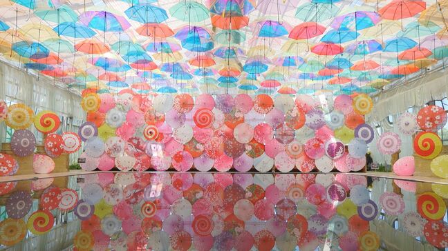 【映像】梅雨彩るアンブレラスカイ　福島・猪苗代町【カメラめせん㉚】|TBS NEWS DIG