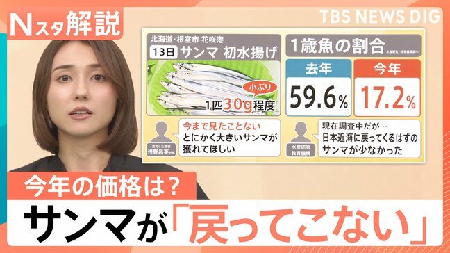 秋の味覚「サンマ」に異変? 不漁に“小型化”も…価格は去年の約2倍に【Nスタ解説】|TBS NEWS DIG