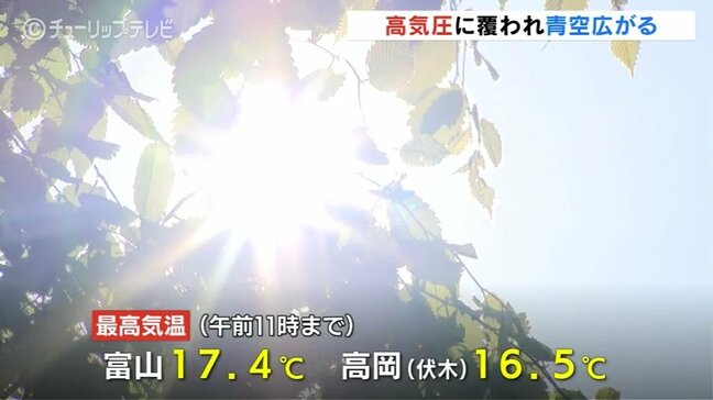 ゴールデンウィークの中日 富山は青空広がりツツジ見頃|TBS NEWS DIG