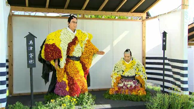 1万4000本色鮮やか　秋恒例の「菊まつり」鹿児島市の仙巌園|TBS NEWS DIG