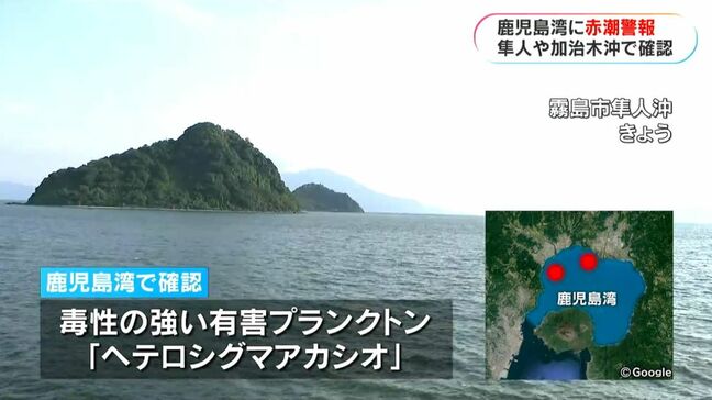 鹿児島湾に赤潮警報　霧島市隼人・姶良市加治木沖で有害プランクトン確認|TBS NEWS DIG