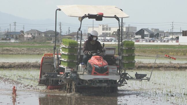 【ギモン解決!】「5キロ3000円台」実現はいつ?小泉進次郎 農水大臣が備蓄米放出ルール変更へ 競争入札から随意契約へ|TBS NEWS DIG