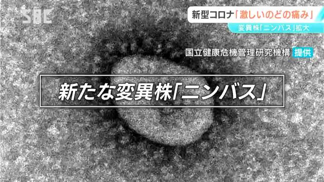 「強烈なのどの痛み」新型コロナウイルスの変異株「ニンバス」 長野県内でも拡大か 激しいのどの痛みが症状の特徴|TBS NEWS DIG