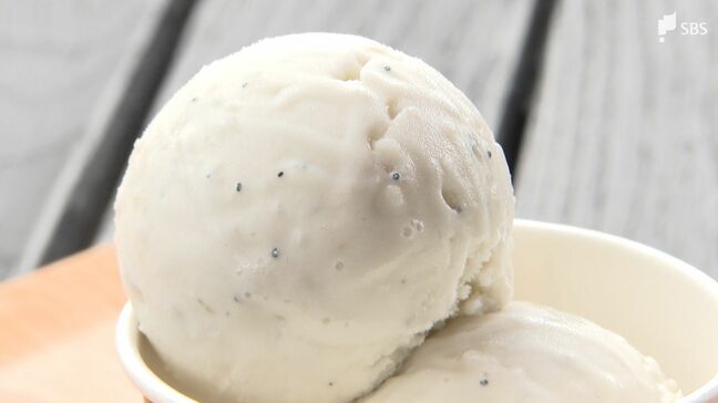 「塩味は甘いものに合うので面白い」用宗のシラスを使ったヨーグルトジェラート 食感が残るよう粗刻みで【しずおか産】|TBS NEWS DIG