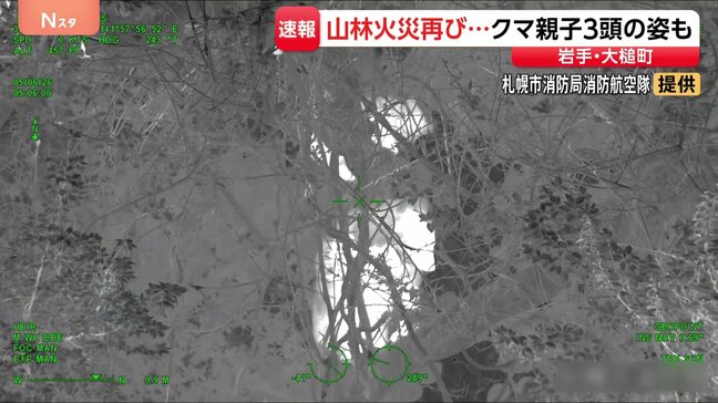 岩手・大槌町の山林火災　調査で3か所の熱源確認　周辺には特殊カメラで捉えた3頭のクマも|TBS NEWS DIG