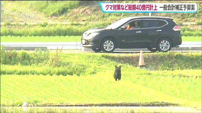 ハンター養成用射撃場の整備やクマの通り道「河川敷」の草刈りに9億円超 宮城県が40億円補正予算案を提出へ|TBS NEWS DIG