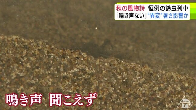 暑さの影響?『津軽鉄道』毎年恒例の「鈴虫列車」に”異変”が…「朝から乗車していますが…」 車窓に広がる秋 青森県の秋の風物詩 10月中旬まで運行予定|TBS NEWS DIG