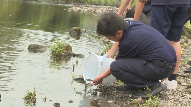 中学生が地元の川でウナギの稚魚放流 「ぬるぬるした」 川や水の大切さを学ぶ 大分|TBS NEWS DIG