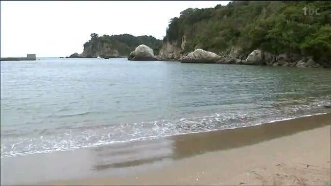 海水浴場のオープン前に水質検査「透明度・油膜の有無・空間放射線量率など7項目」宮城・東松島市|TBS NEWS DIG