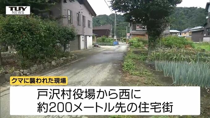 「衝撃がどんと」クマに襲われた男性が語る当時の状況とは...夏祭り帰りに住宅街で襲われ頭や顔などにケガ（山形・戸沢村）　　　|　山形のニュース│TUYテレビユー山形