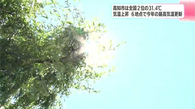 全国２位の３１．４℃　高知市は３０度超え真夏日に　６地点で今年の最高気温更新　|　高知のニュース・天気｜KUTV NEWS | KUTVテレビ高知