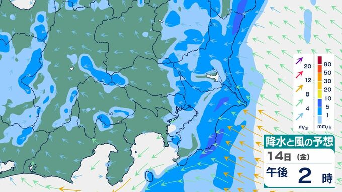 【関東　大雨】大気の非常に不安定な状態は１５日明け方にかけて続く見込み　1時間ごとの雨風シミュレーション【気象庁14日5時43分発表】|TBS NEWS DIG