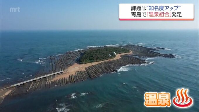 実は100年の歴史「知らなかった」の声も 九州知名度最下位の青島温泉が「温泉手形」で活性化へ|TBS NEWS DIG