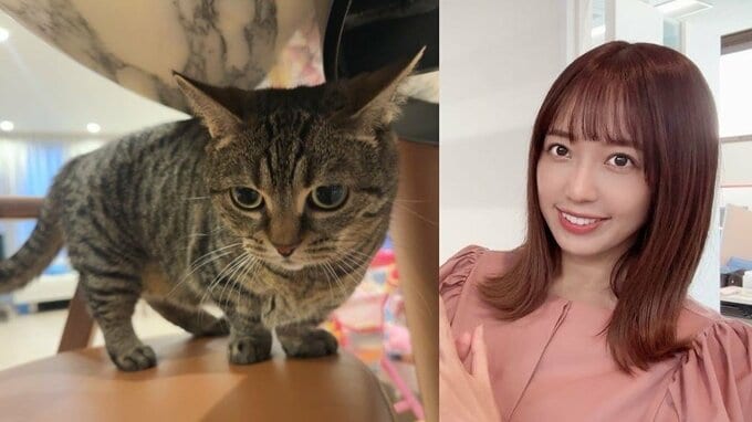 【川崎希】　愛猫がエルメスの家具で爪研ぎ　「やめておくれ〜」|TBS NEWS DIG