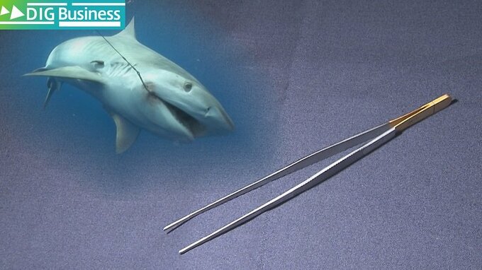 1000分の5ミリ単位で溝を刻む…命の現場を支える“究極のピンセット”　開発のきっかけは「サメ肌」だった 【DIG Business】|TBS NEWS DIG