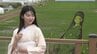 田んぼの“巨大キャンバス”に浮かび上がったのは妖しくも美しい2つの「幽霊画」　青森県田舎館村の「田んぼアート」が見頃に　「稲穂が風になびいて絵が動いているような不思議な感覚」「とてもきれい」　|　青森のニュース│ATV NEWS│青森テレビ