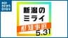  座右の銘は？好物は？ 3候補の横顔に迫る【新潟県知事選挙】#新潟のミライ　|　新潟のニュース・天気｜BSN NEWS｜BSN新潟放送