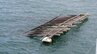 瀬戸内海「カキ養殖いかだ」が沖合へ流される...台風6号の影響か【水島海上保安部】　|　岡山・香川のニュース | 天気 | RSK山陽放送