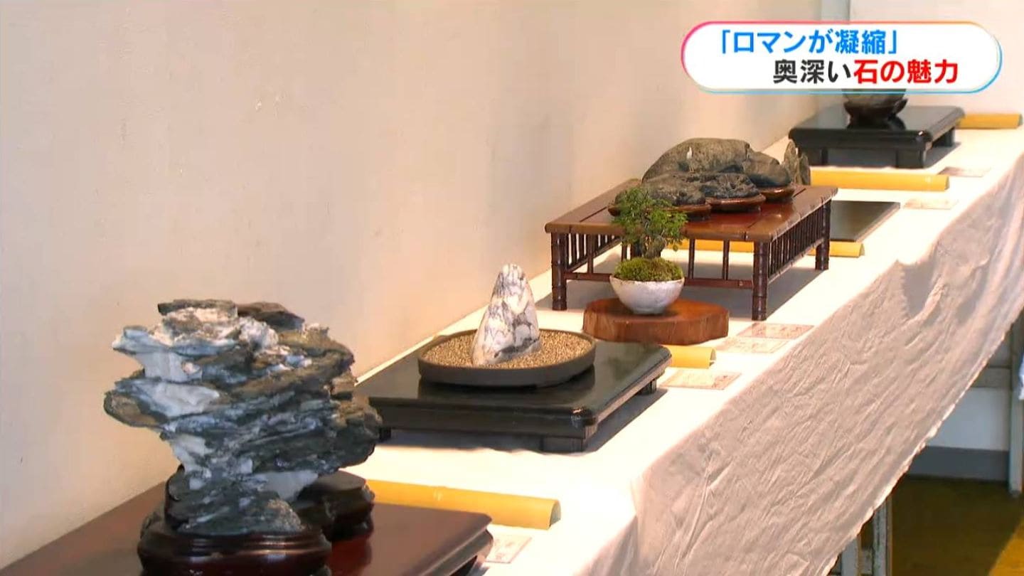 ロマンが詰まっている」石の知られざる魅力「鑑賞石展」鹿児島市で27日
