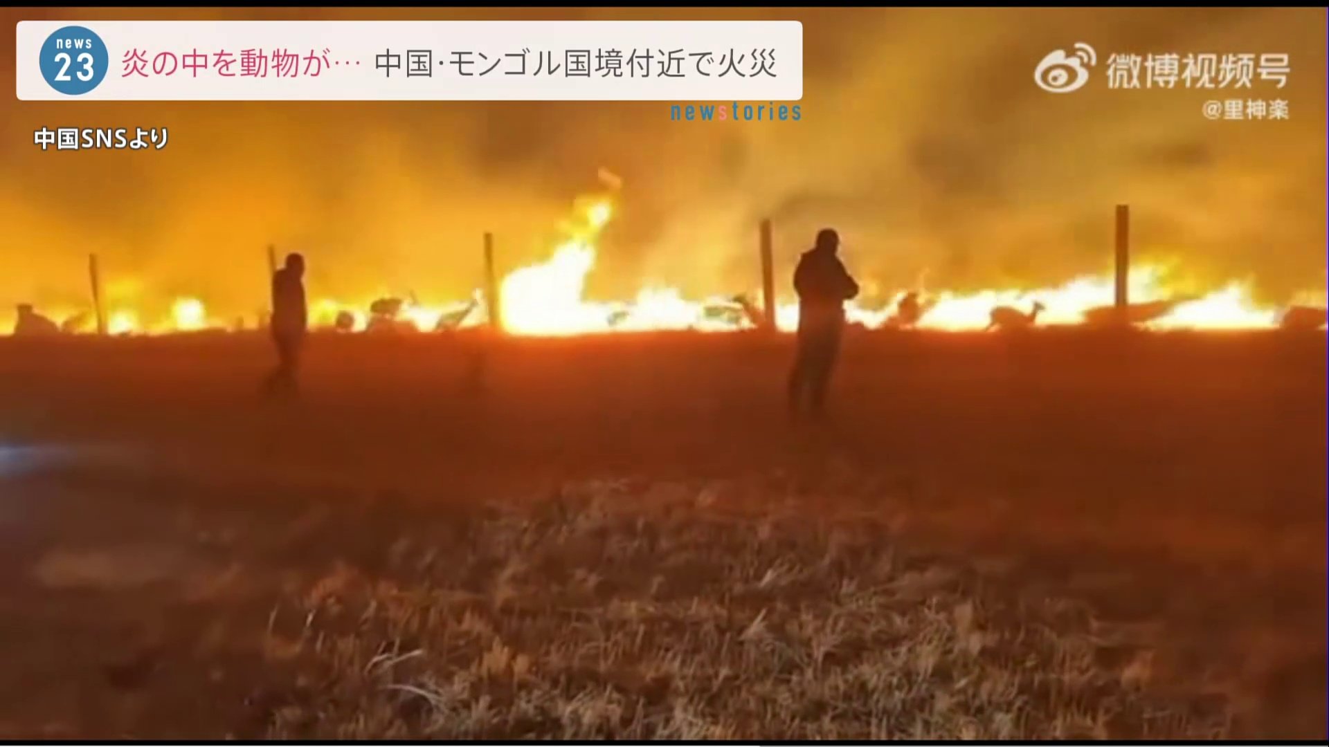 中国・モンゴル国境付近で草原火災 3日間燃え広がる | TBS CROSS DIG