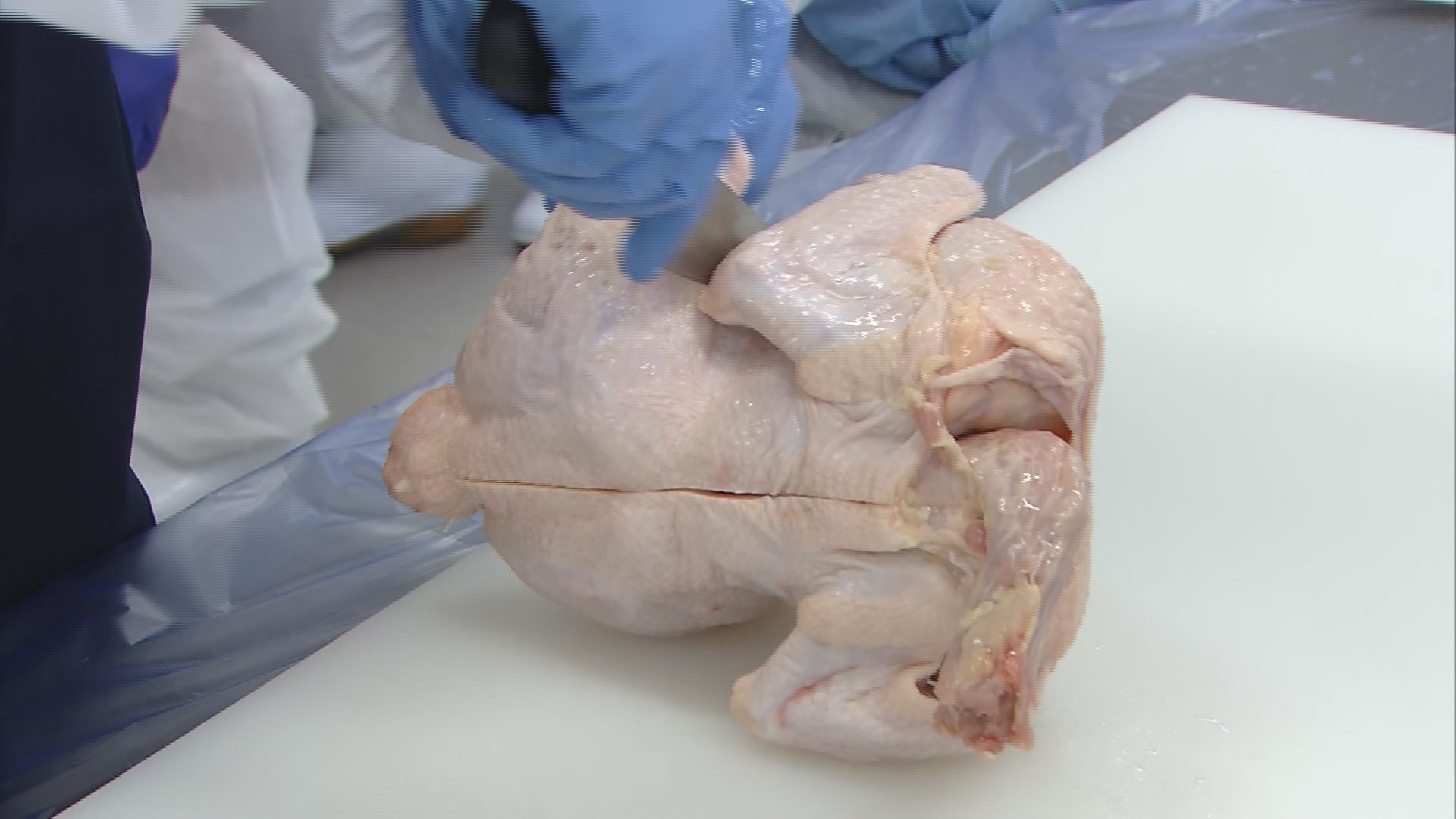 鶏の仕事のイメージが変われば」高校生が丸鶏の解体を体験して