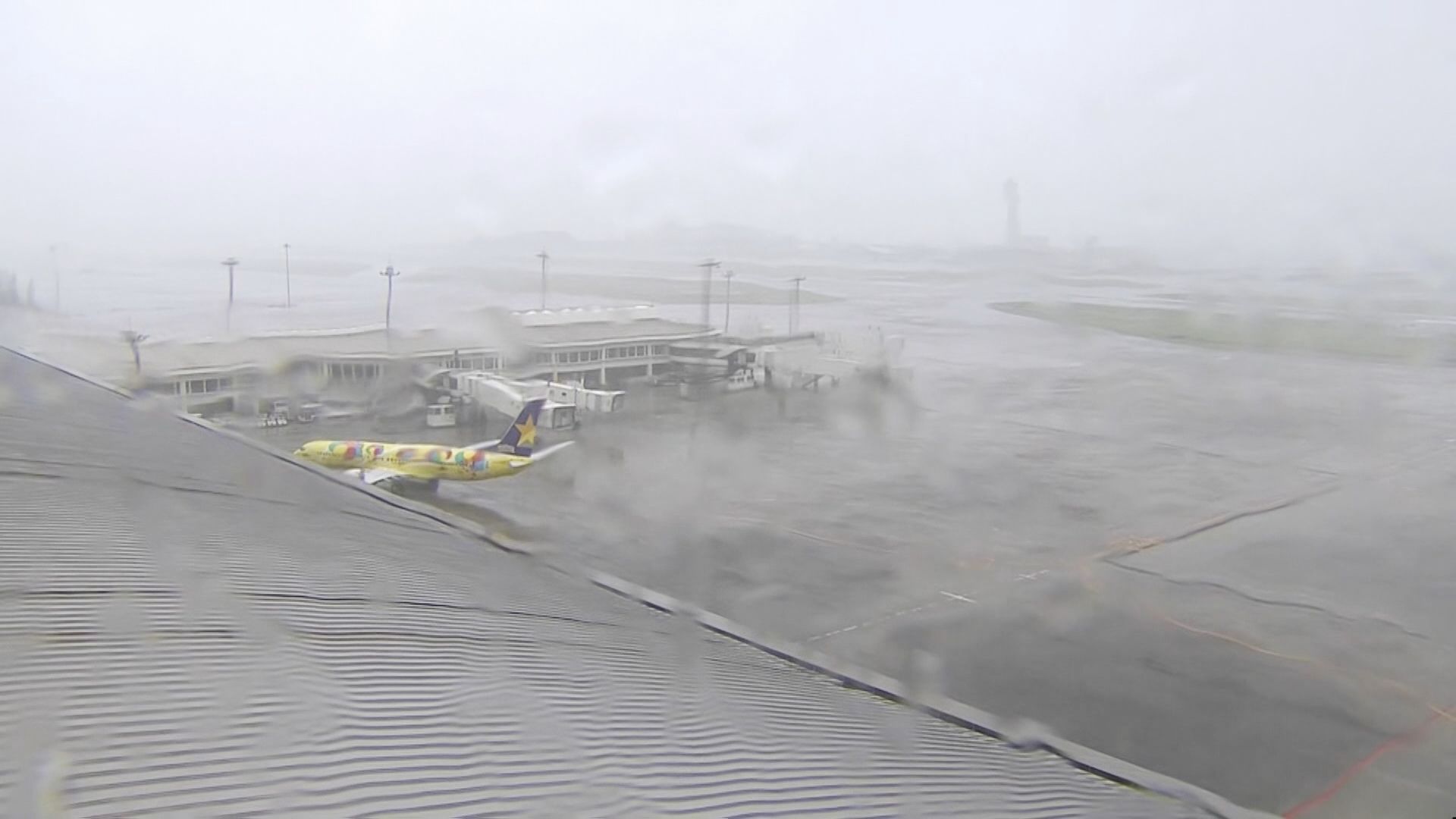 台風6号で交通に影響 空の便はANAとJALで計175便欠航 約2万1000人に