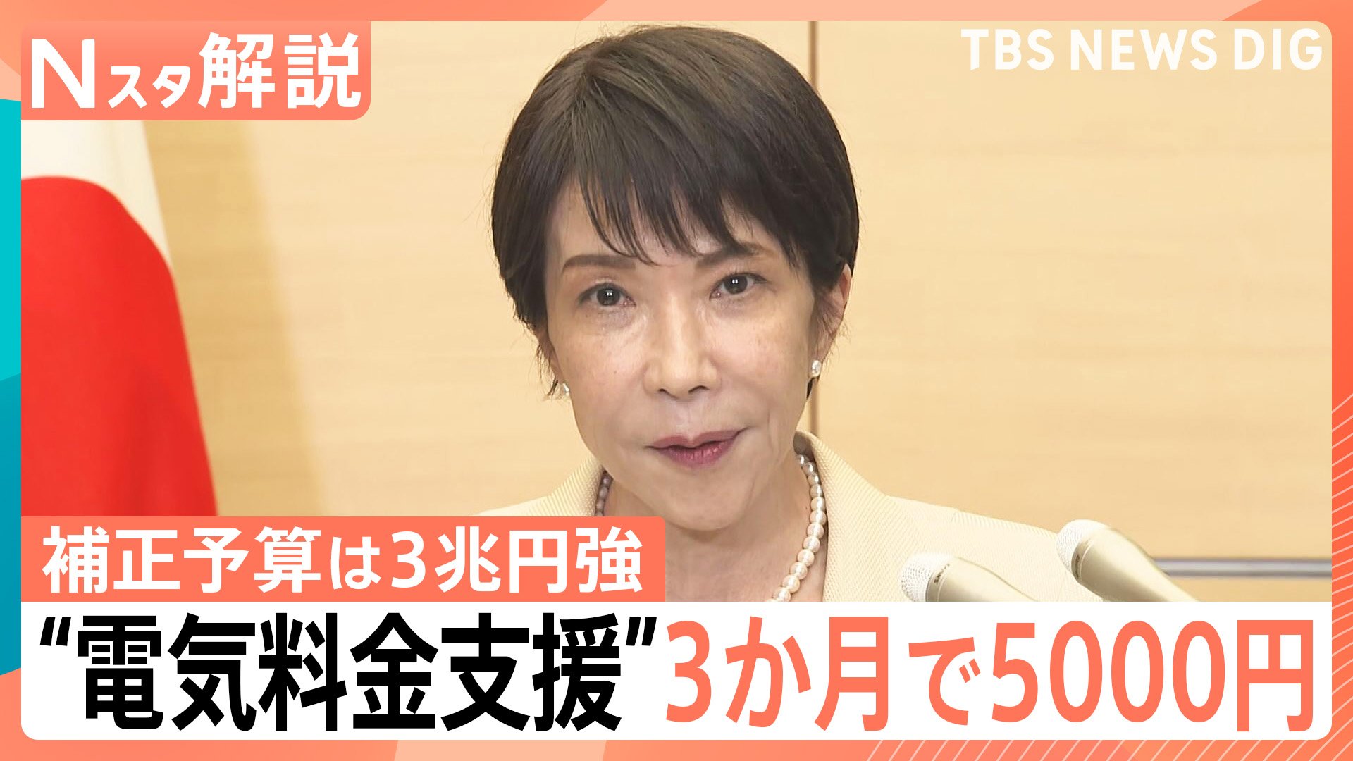 電気・ガス代「3か月で5000円」支援へ ガソリン補助や“ナフサ目詰まり