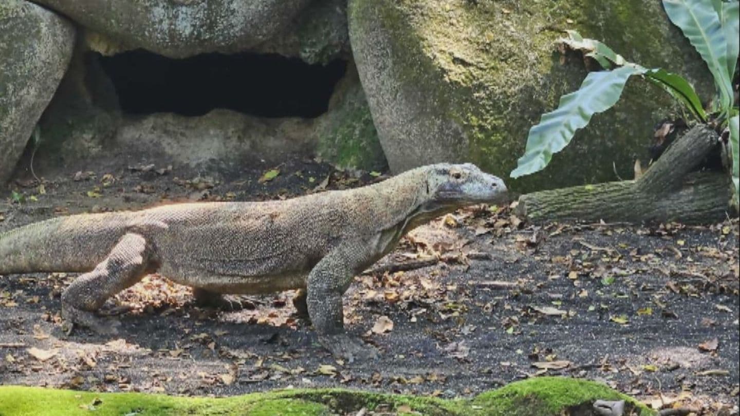 img_3bdd7e6232d09574fa6367f7b6