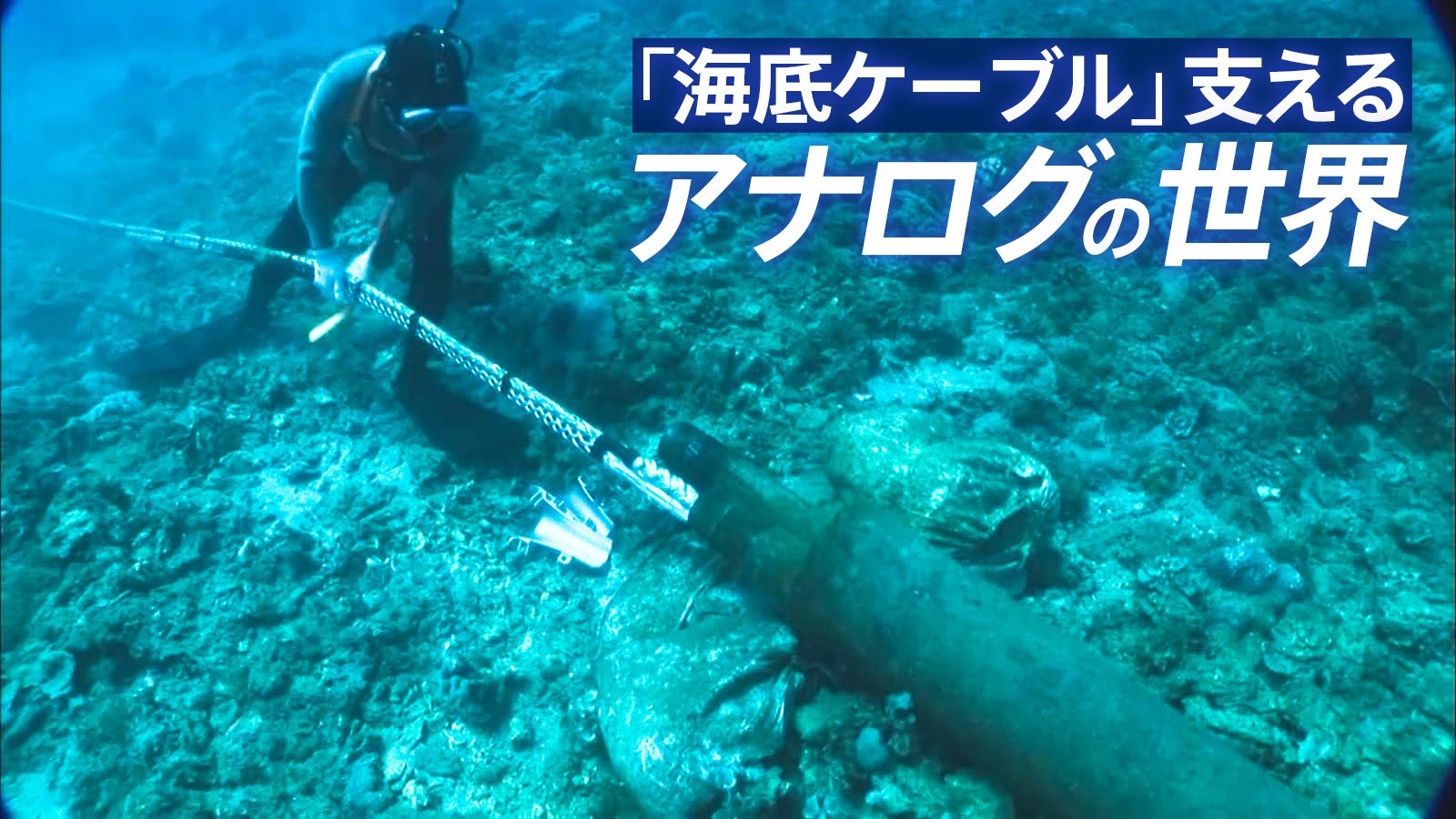 img_3becca3519120b1d7811b0bf89