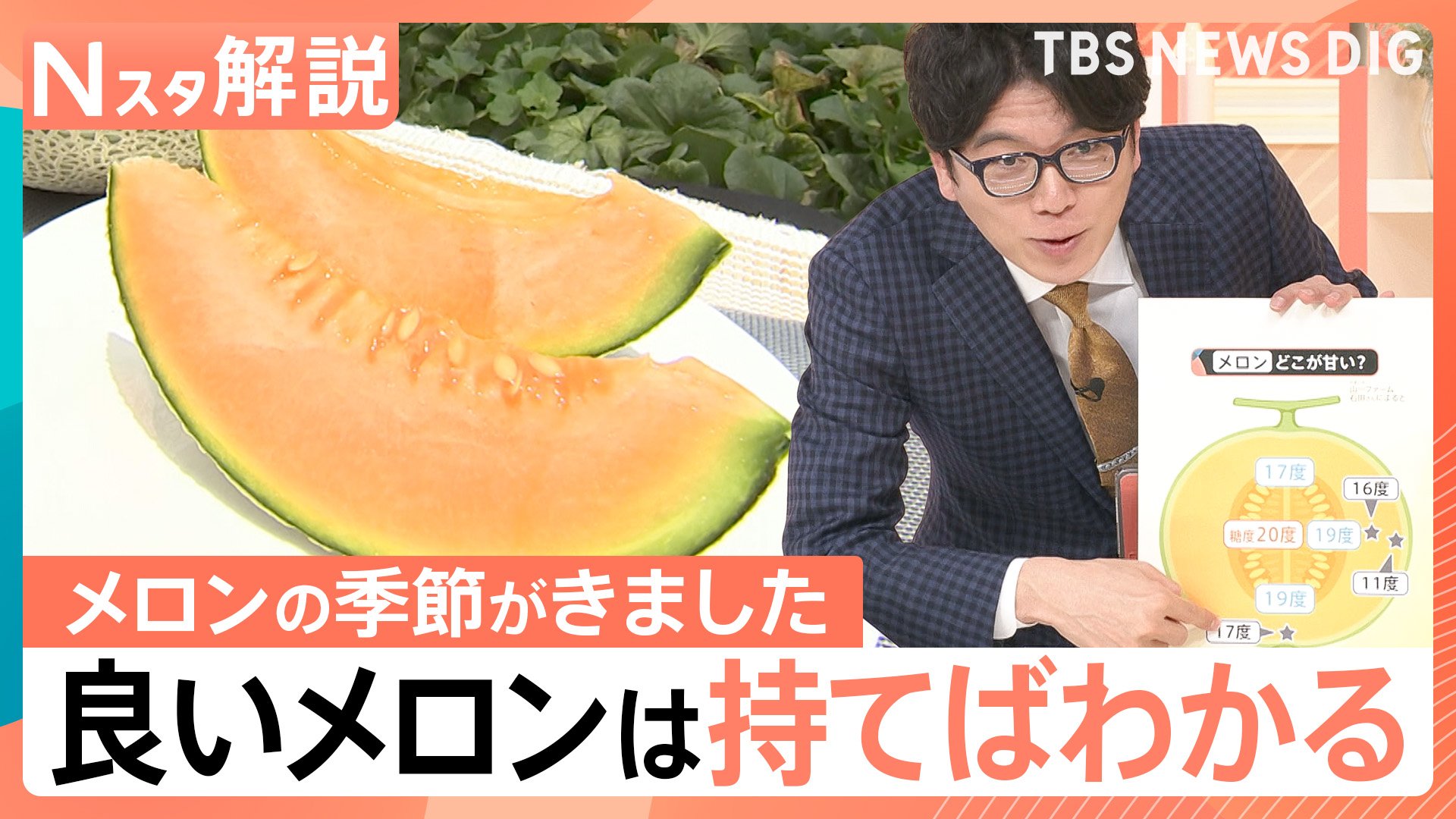 美味しい メロン の 見分け 方