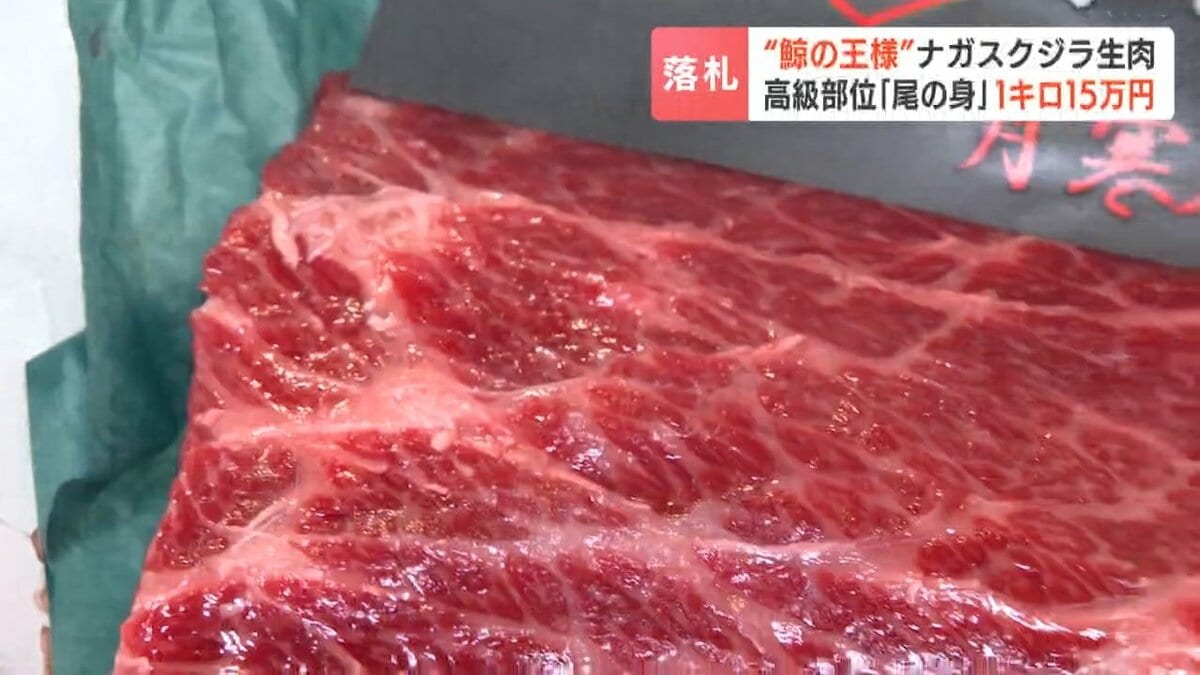 めったに出あうことができない」 ナガスクジラの生肉が札幌の卸売市場