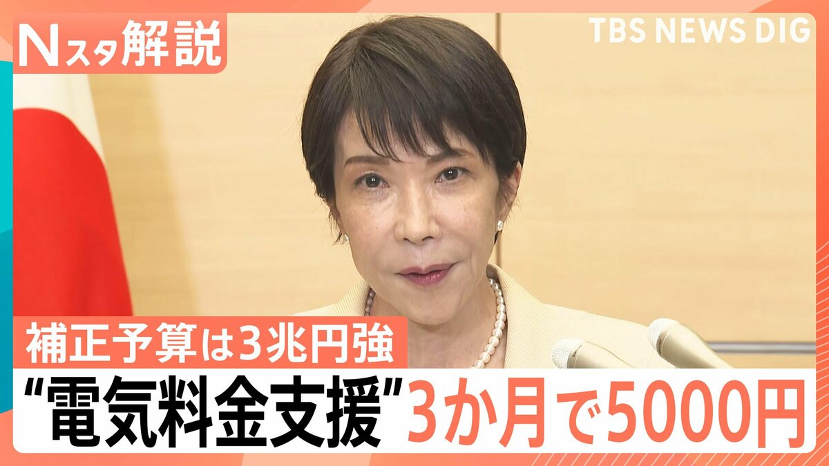 電気・ガス代「3か月で5000円」支援へ ガソリン補助や“ナフサ目詰まり