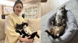 【 ねこ 】藤あや子「じゃこ天がウチの子1周年」ついに〝3猫会談に初めて参加〟フォロワー祝福「なんて嬉しい光景」|TBS NEWS DIG