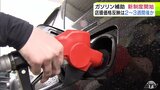 “ガソリン補助”はじまるも…店頭価格に反映されるまでは2～3週間かかるか　.今後の値下がり見越して給油を少量にする人も　それでもドライバーからは期待の声「160円台になれば」|TBS NEWS DIG
